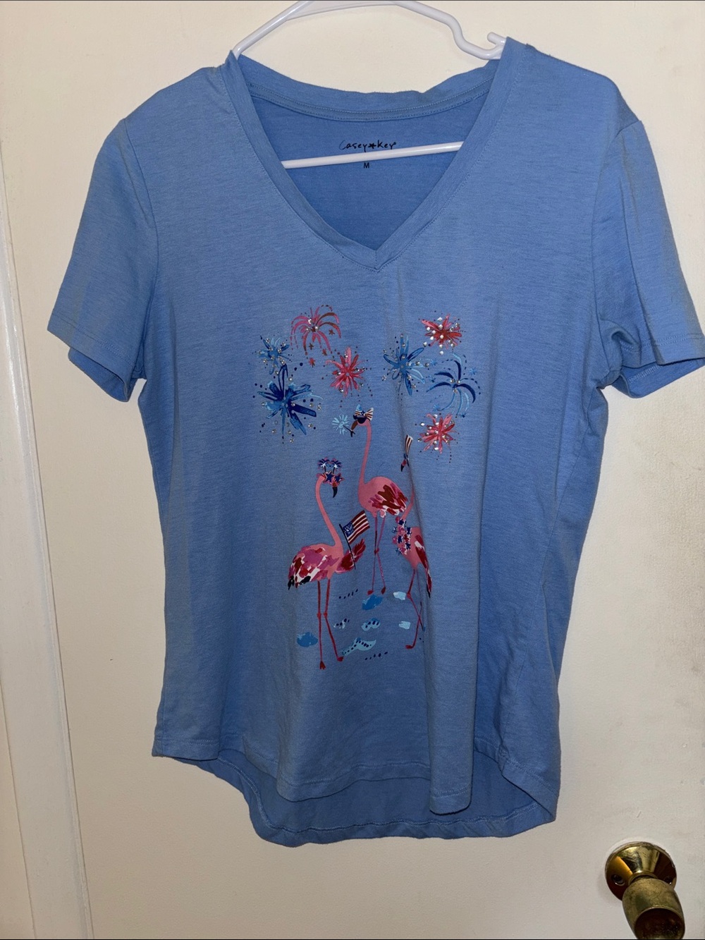 Cozy Women's Blue V-Neck Flamingo Graphic Tee Size Medium